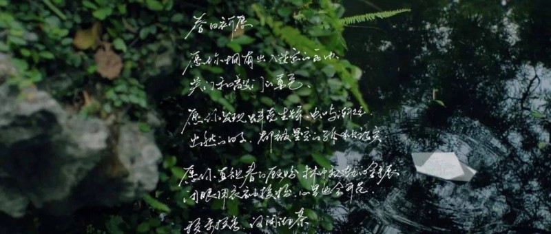 霸王茶姬x《宇宙探索编辑部》联动写诗了!