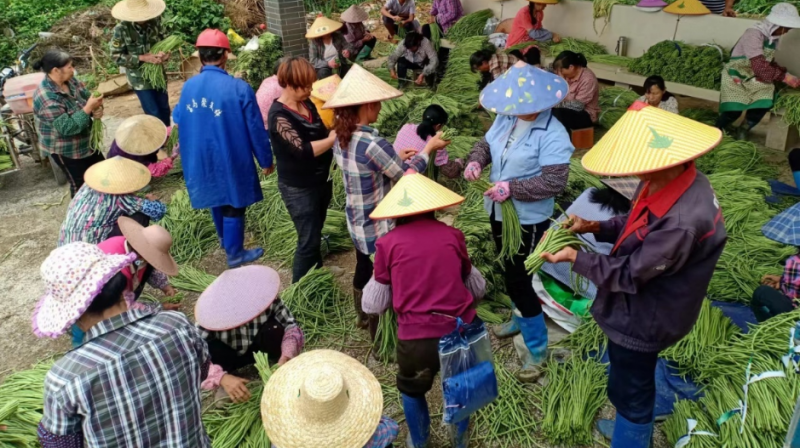 一天收入800多很轻松，在农村干正好，这3个小生意闷声发财的不少