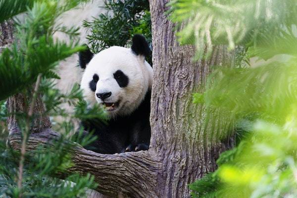 拼多多小编推荐是不是质量好？可以相信吗？