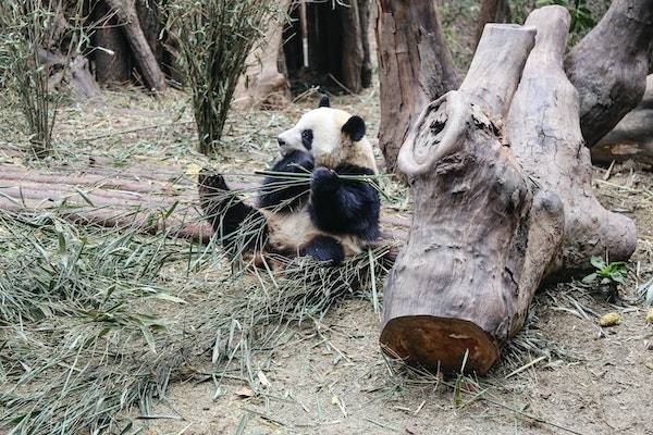 拼多多撤销售后次数上限怎么办？还能再申请吗？