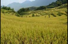 十月稻田的投资分岔口 利润向左，估值向右？