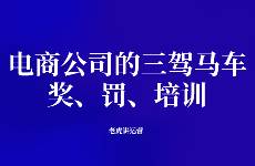 电商公司的三驾马车 奖、罚、培训