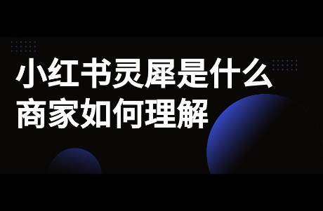 小红书灵犀是什么？对商家运营有何借鉴意义？