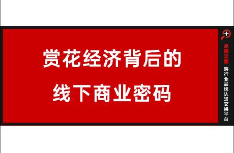 赏花经济背后，藏着哪些线下商业密码？