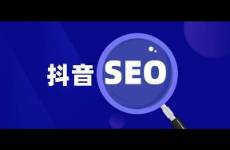 小白也能学会的抖音SEO 关键词排名优化技术