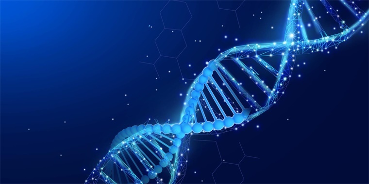 科学家破译单粒小麦DNA，推出更有弹性、营养丰富的面包品种