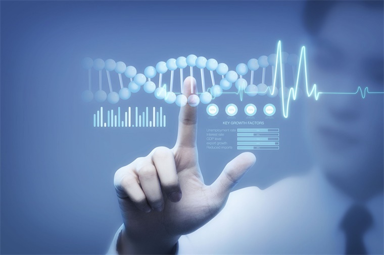 科学家开发的人类淋巴瘤类器官，推进滤泡性淋巴瘤精准治疗