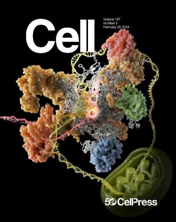 破解世界性难题！我国科学家成功解析叶绿体基因转录机器构造，登上《细胞》封面