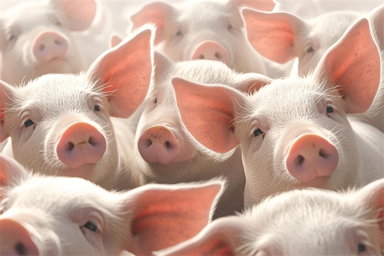 3月猪价淡季不淡！猪肉价格连涨三周，机构 后市猪价或超预期上涨