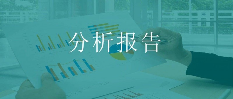 经营分析必备之 年度分析报告模版