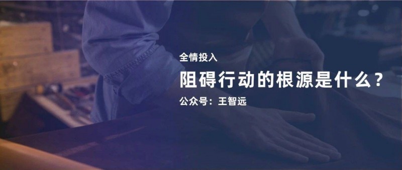 阻碍行动的根源是什么？