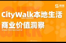 CityWalk本地生活商业价值洞察报告