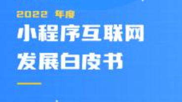 2022 年度小程序白皮书发布