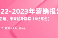 2022-2023年营销报告