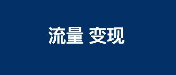 白杨SEO 有流量，变现弱怎么解决？