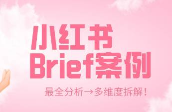 这次一定教会你怎么写！多个品牌种草Brief实例拆解！