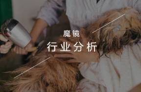 宠物洗护赛道热点洞察，探寻3000亿蓝海市场新机遇