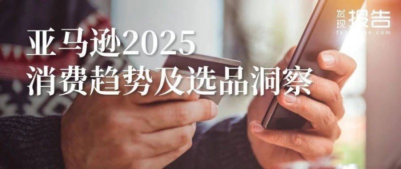 2025全球电商消费趋势及选品洞察报告