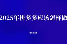 2025年拼多多应该怎样做