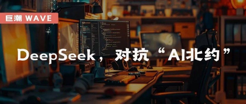 DeepSeek，对抗AI北约