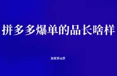 拼多多爆单的品长啥样