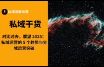 2025年去世 私域运营的 5 个趋势与全域运营突破