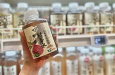 躲在工位里的脆皮年轻人，捧出新蓝海
