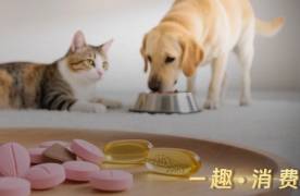 这届铲屎官，每年花上万元给宠物养生保健