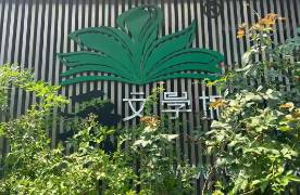 晋江文学城VS哇唧唧哇！版权大战震动500亿元短剧市场