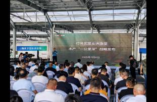 叮咚买菜跨界养鱼，用一公里深战略深耕让生鲜不止于鲜