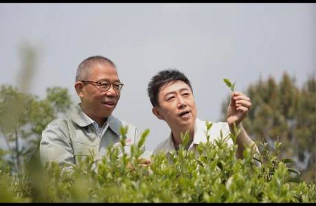 娃哈哈口碑反转背后 全网欠钟睒睒一个光明正大的道歉