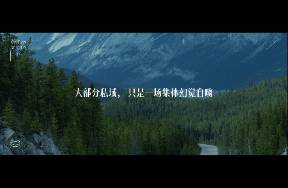 顶级私域IP，都有1种淡淡的牛逼感
