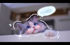第一批玩AI的猫主子来了，摸头都有新花样，和猫聊天还不重
