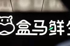 创立十周年的盒马，今年想再开100家门店