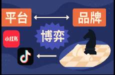 品牌与平台的再博弈 2025红书矩阵是新解药吗？