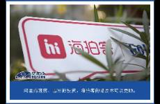 雷军加持的海拍客净负债 20 亿，拟港股 IPO 输血