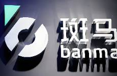 独闯港股IPO，阿里动物园跑出一匹斑马