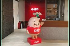 小红书又上热搜不是坏事！