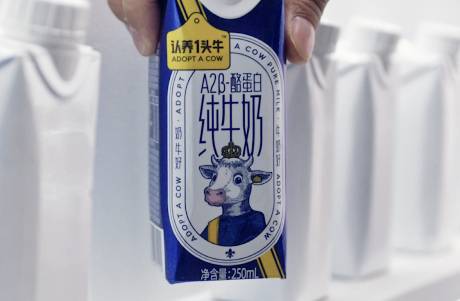 从认养到自养 认养一头牛扎进乳企红海