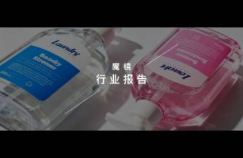 魔镜洞察AI+数据赋能-家清个护闭门会主题演讲圆满结束！