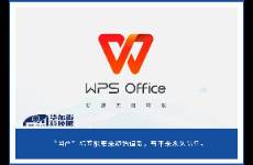 要扶国产办公软件，却难扶金山WPS 套娃套路消耗公众信任