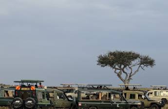 东非草原大堵车，真是中国游客扎堆挤出来的？