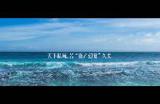 私域最大的谎言 把客户当资产