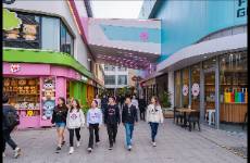 数据驱动决策？你可能陷入了新消费品牌的数据陷阱