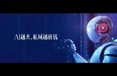 90的人没看懂 AI时代最大的红利，在私域