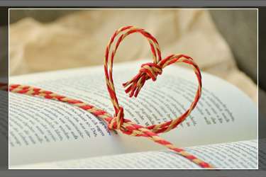 双11国补怎么领？家电国补2025怎么领取