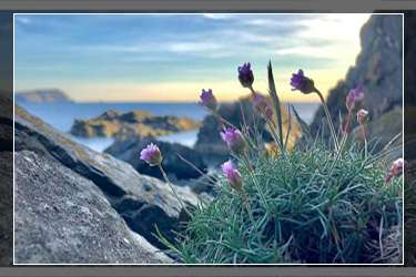 淘宝店铺补一单多少钱？淘宝店铺里什么叫补单