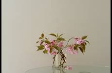 双11的增量密码，写在兴趣里