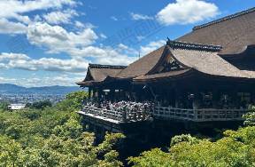 飞猪双11观察 不愿被折叠的酒旅商家