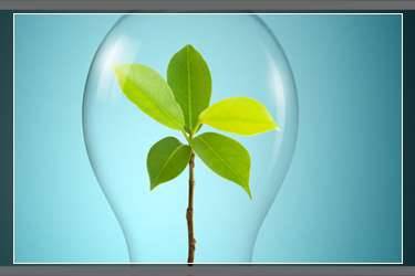 闲鱼卖家拒绝退款介入一般是谁赢?闲鱼客服介入一般谁赢